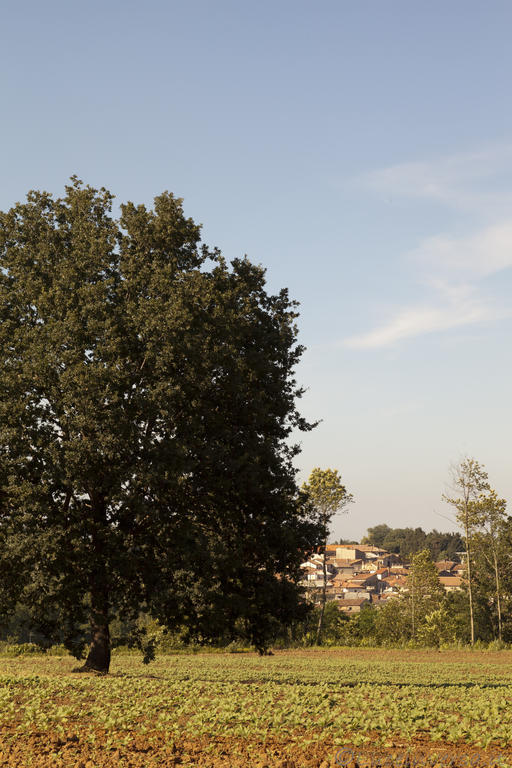 Agriturismo Creta Rossa Torre di Ruggiero Exteriér fotografie